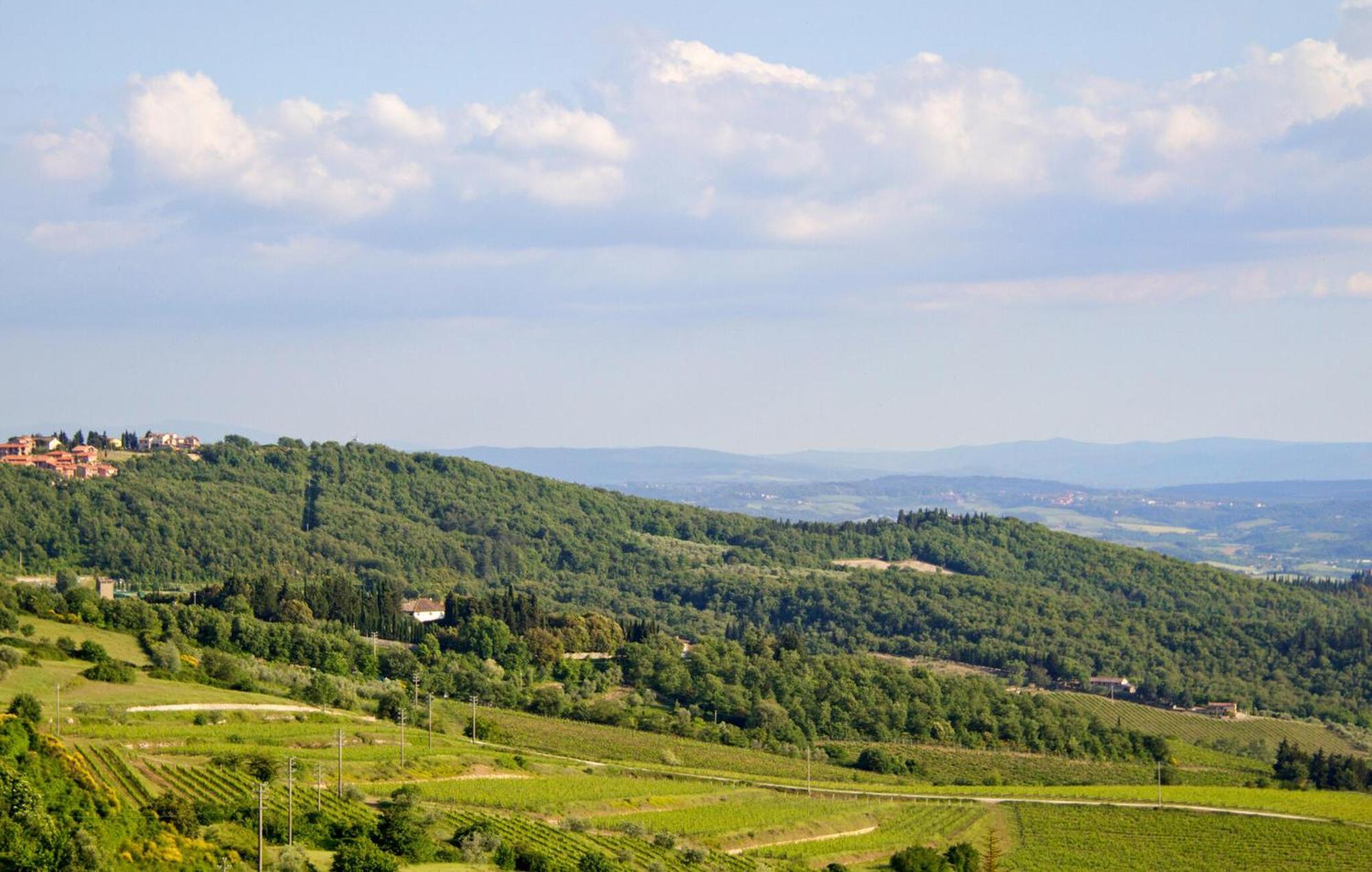 Galletto Nero Panzano in Chianti Dış mekan fotoğraf